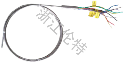 單支多點熱電偶